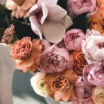 Noticias sobre el mundo floral