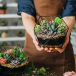 Regalar plantas: opciones únicas para sorprender