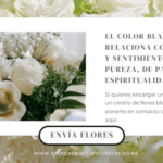 Significado de flores blancas