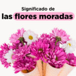 Significado de flores moradas