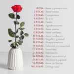 Significado de rosa roja