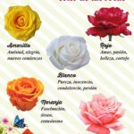 Significados de colores de flores